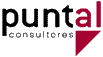 Puntal Consultores